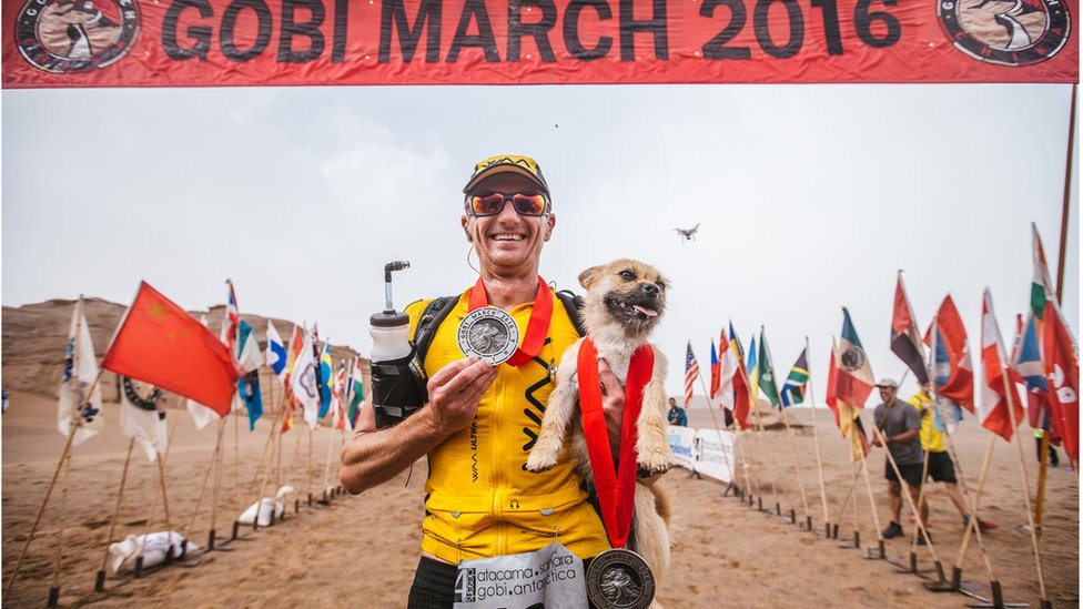 Gobi the Marathon Dog – Monroe Journal – Nov 2, 2017
