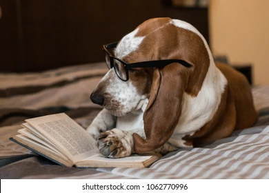 My Dog Ate My Book – Monroe Journal – June 29, 2023