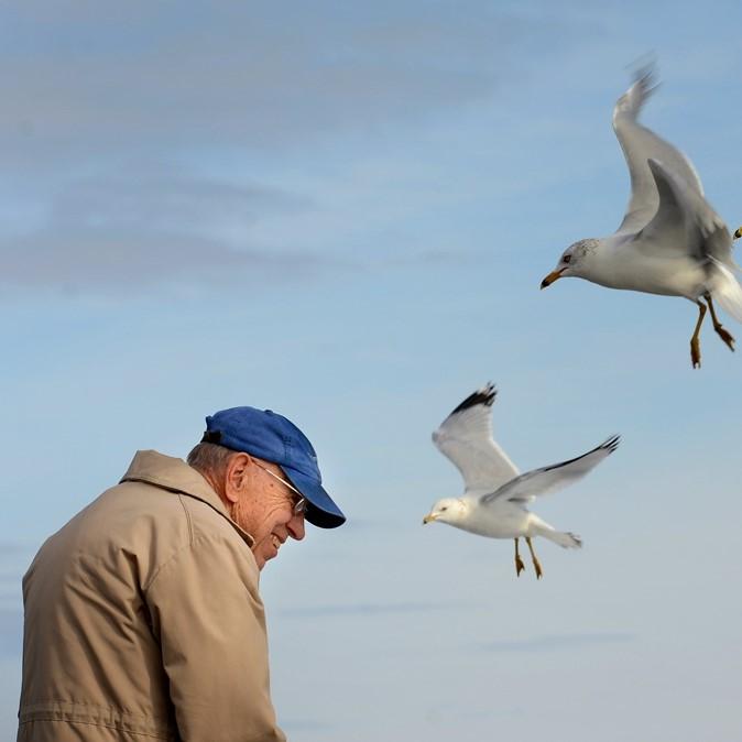 Thanking the Seagulls – Monroe Journal – Feb 19, 2026